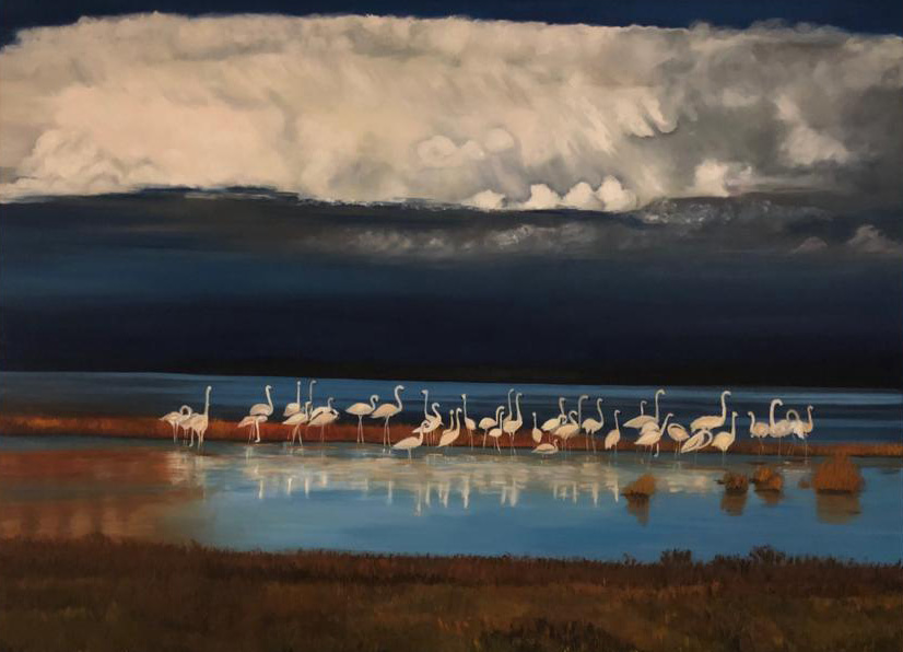 Flamingos_Namibien_cut