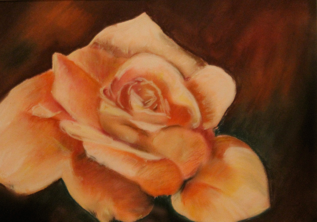 Rosa-2014