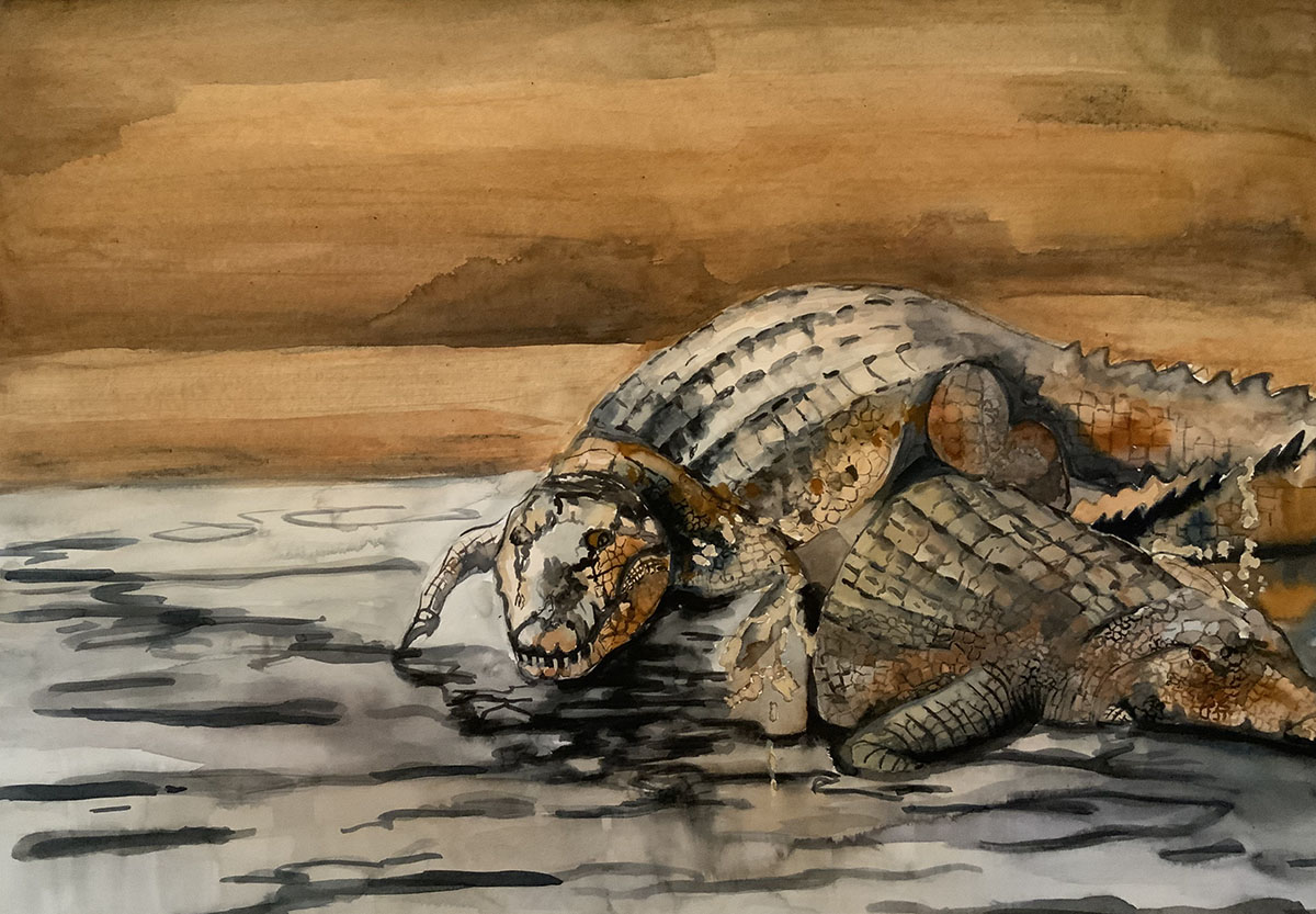 Ruhige-Krokodile